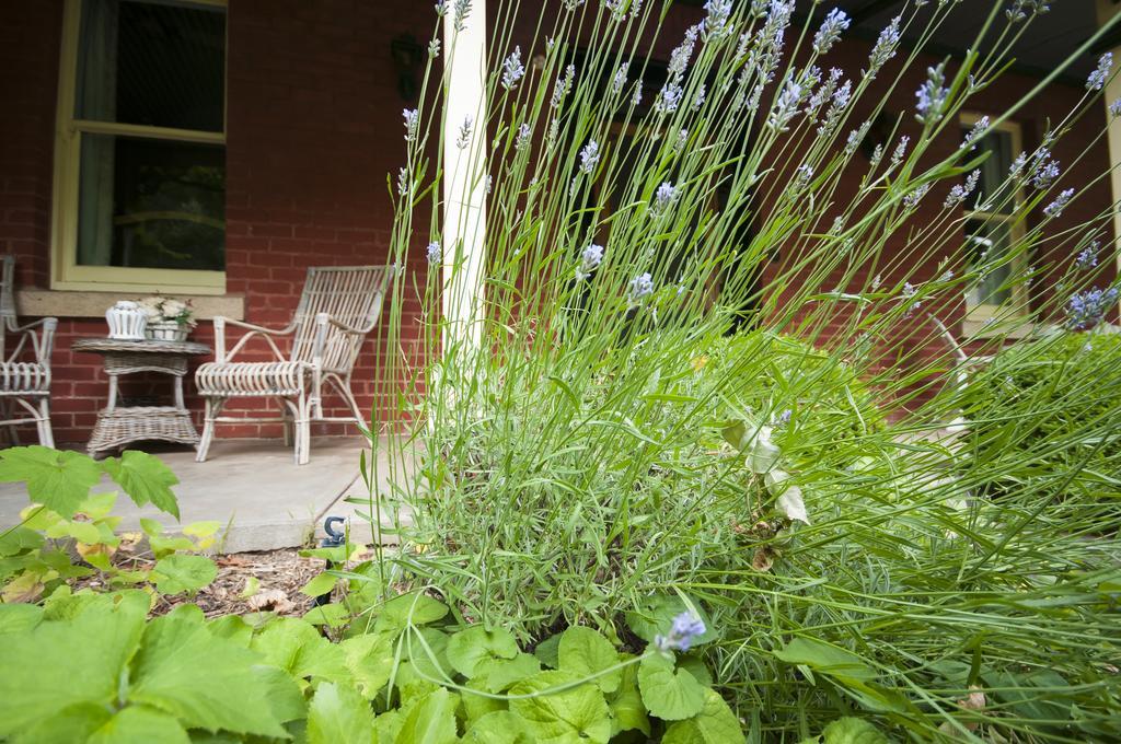 The Graces Beechworth Bed and Breakfast Buitenkant foto
